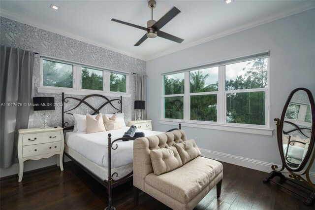 bedroom featuring dark wood-type flooring, ceiling fan, and multiple windows