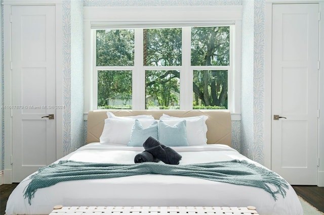 bedroom featuring multiple windows and dark hardwood / wood-style flooring