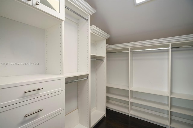 walk in closet featuring dark hardwood / wood-style flooring