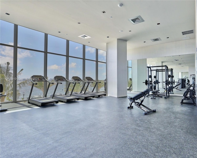 workout area featuring a wall of windows and a high ceiling