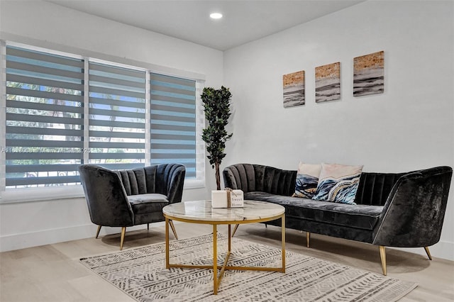 living area with wood-type flooring