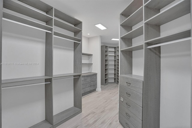 spacious closet featuring light hardwood / wood-style flooring