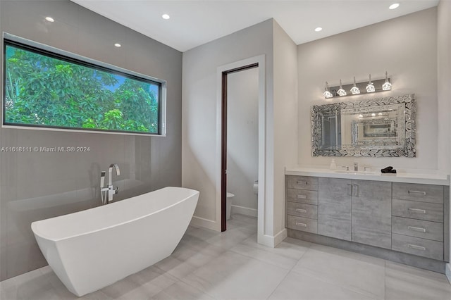 bathroom featuring vanity, toilet, and a tub