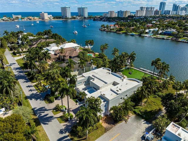 aerial view with a water view