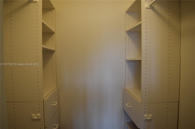 view of walk in closet