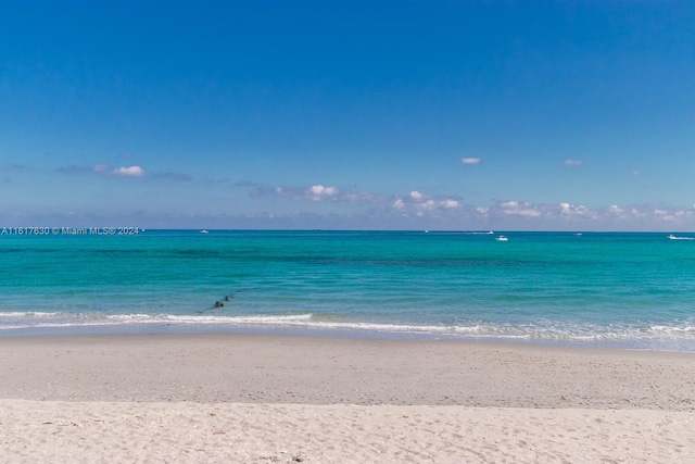 property view of water with a view of the beach