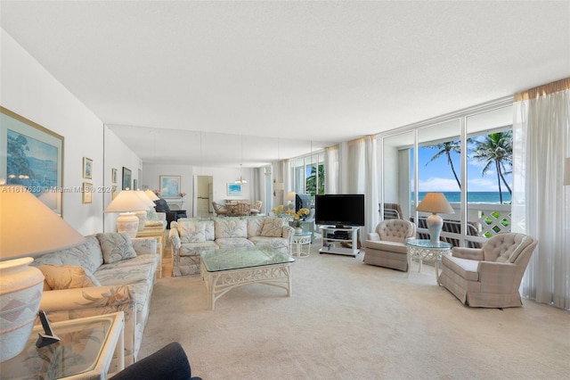 carpeted living room featuring a water view