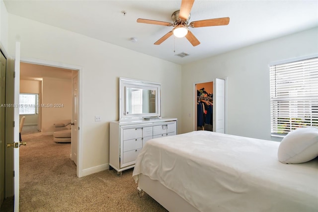 carpeted bedroom featuring ceiling fan, a walk in closet, and a closet