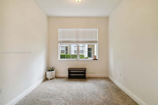 empty room featuring carpet