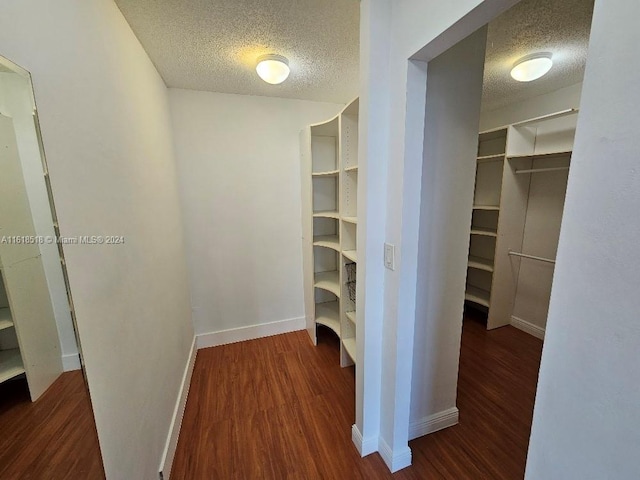 spacious closet featuring dark hardwood / wood-style floors