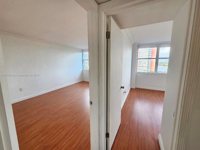 hallway featuring hardwood / wood-style flooring and crown molding