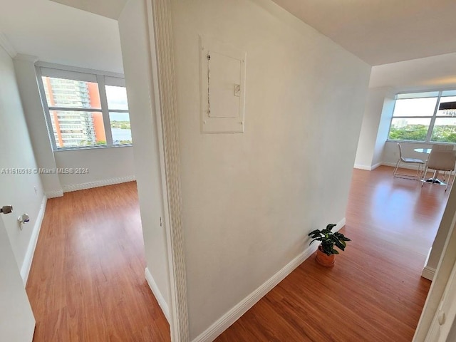 hall with light hardwood / wood-style flooring and electric panel