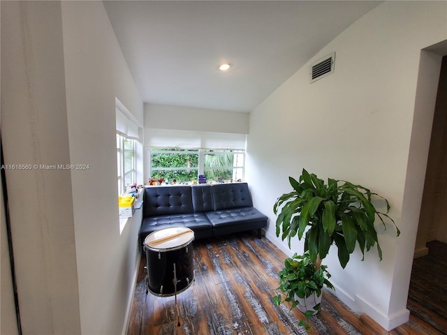 living room featuring dark wood-type flooring and vaulted ceiling