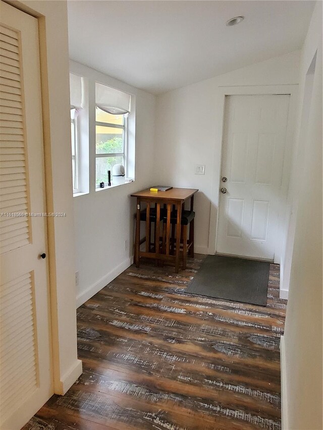 foyer with dark wood-type flooring