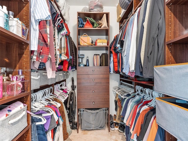 view of walk in closet