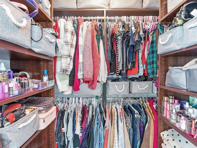 view of spacious closet