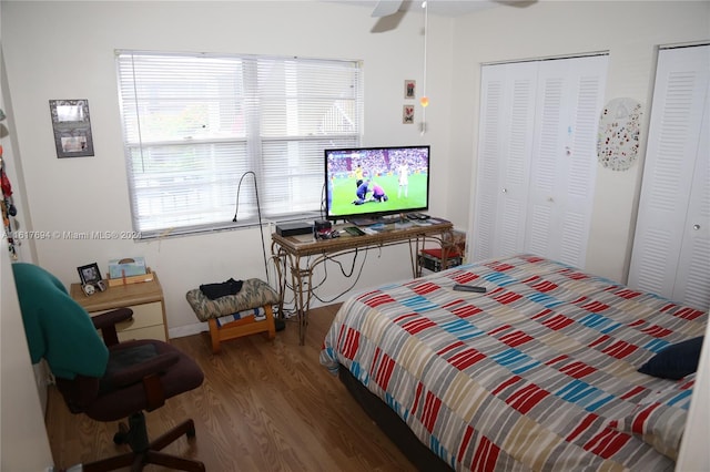 bedroom featuring multiple closets, ceiling fan, and wood-type flooring