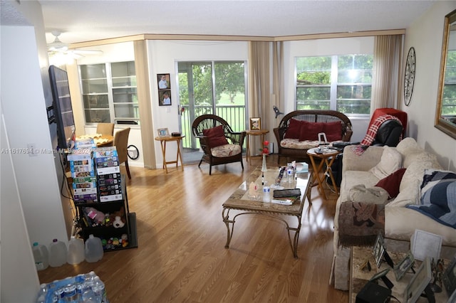 living room featuring hardwood / wood-style flooring and ceiling fan