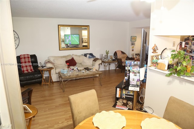 living room featuring light hardwood / wood-style floors