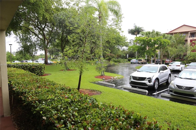 view of parking / parking lot with a yard