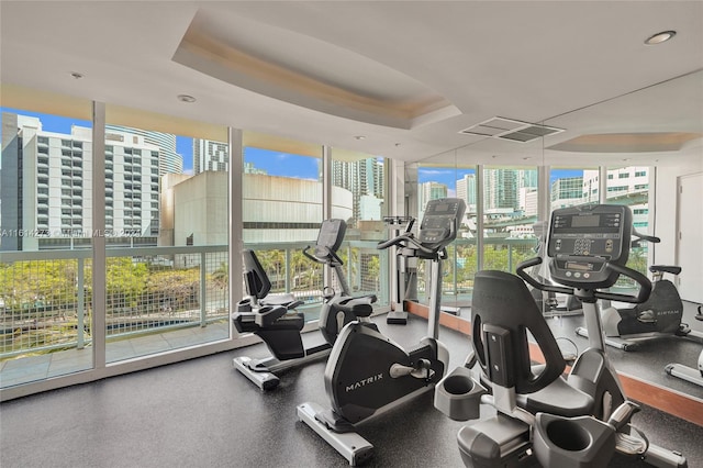 gym featuring a wealth of natural light and a raised ceiling