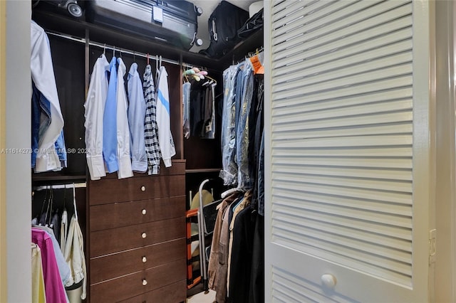 view of spacious closet