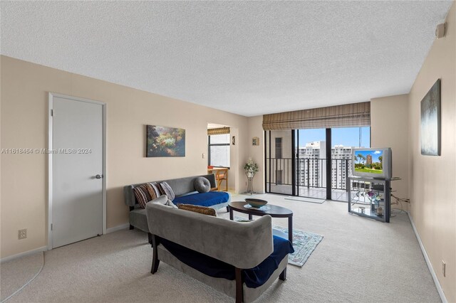 carpeted living room featuring a textured ceiling