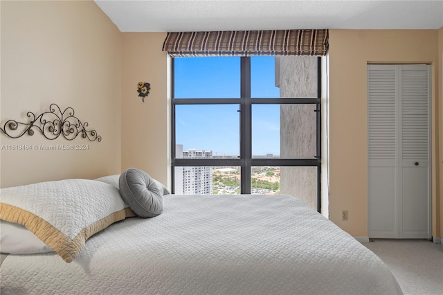 bedroom featuring a closet and carpet floors