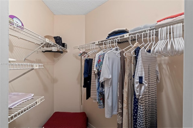 view of spacious closet