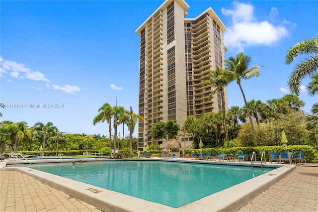 view of pool with a patio area