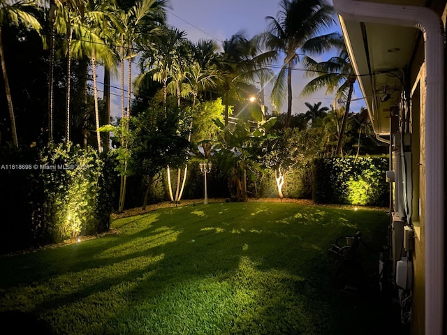 view of yard at dusk