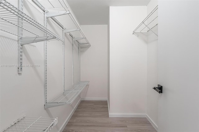 walk in closet with light hardwood / wood-style flooring