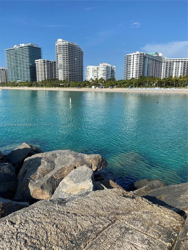 property view of water featuring a view of city