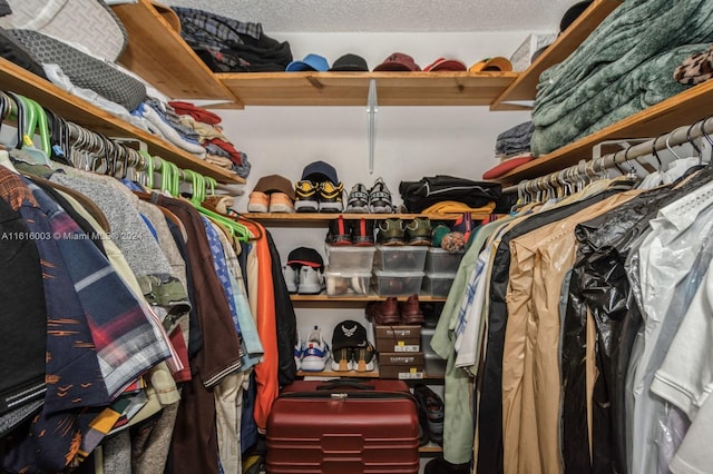 view of walk in closet