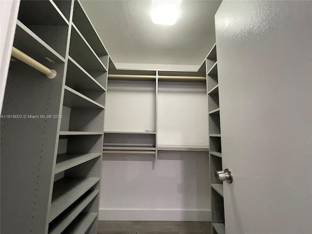 spacious closet with hardwood / wood-style floors