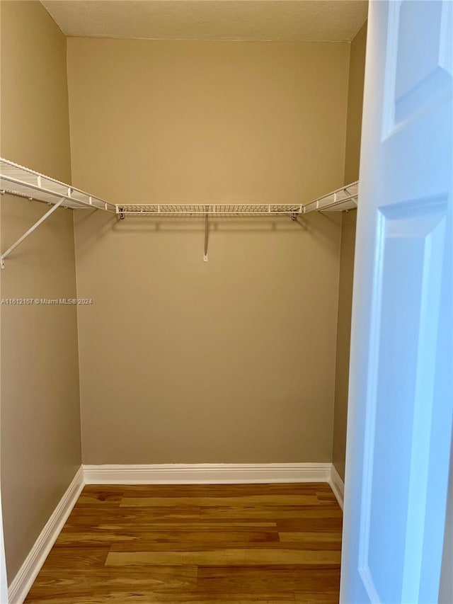 walk in closet with hardwood / wood-style floors