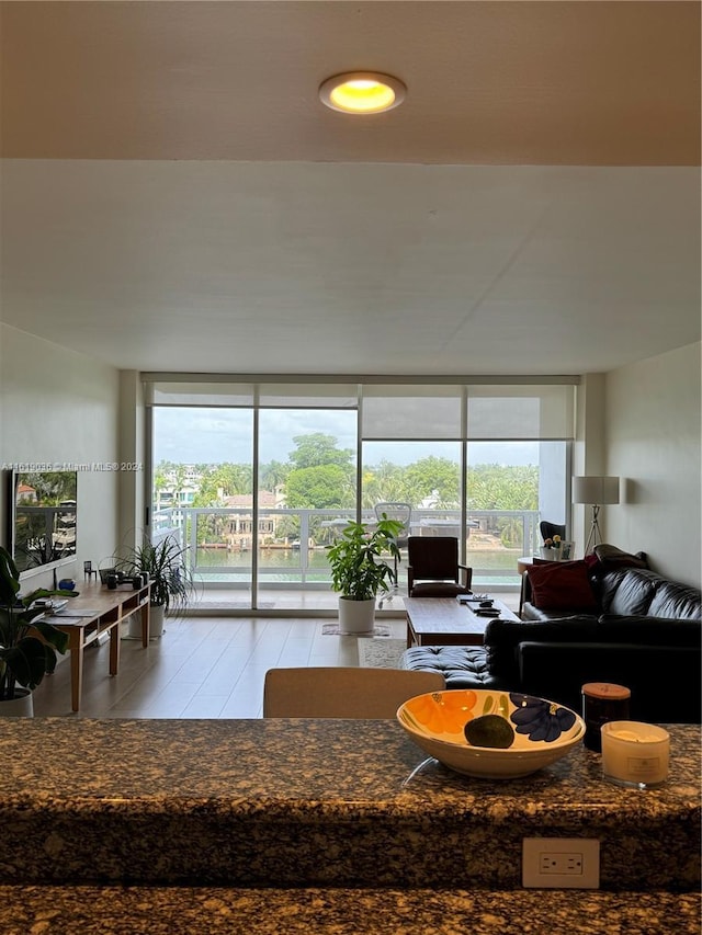 living room with hardwood / wood-style flooring, floor to ceiling windows, and a wealth of natural light