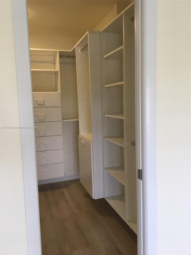 spacious closet with dark hardwood / wood-style floors