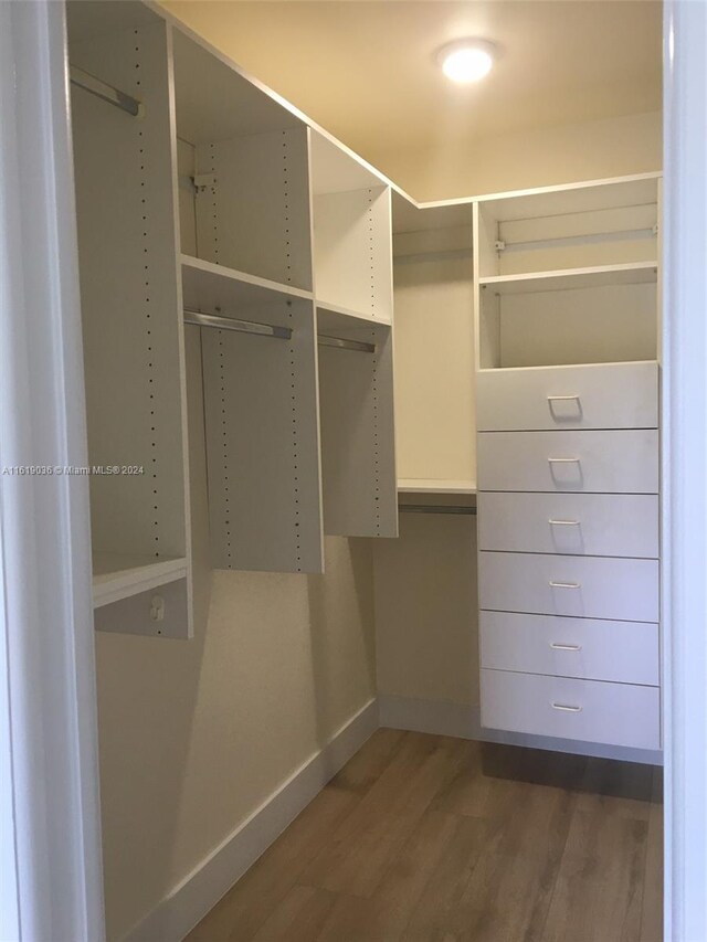 spacious closet featuring dark wood-type flooring