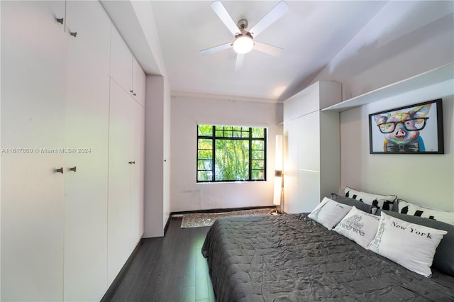 bedroom featuring ceiling fan and dark hardwood / wood-style flooring