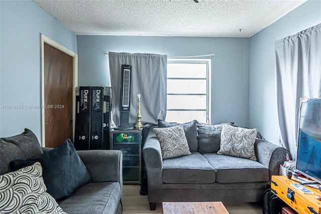 living room with a textured ceiling and hardwood / wood-style flooring