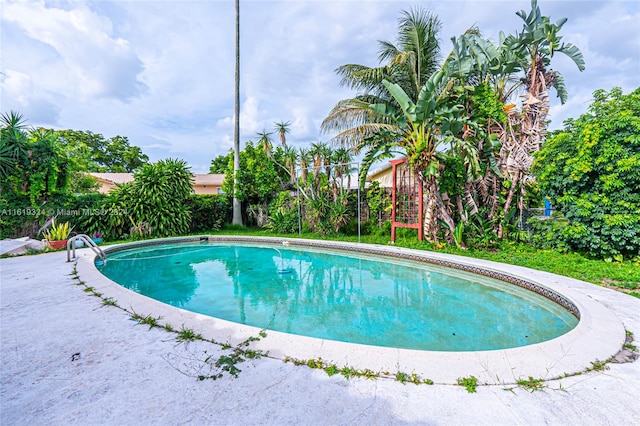 view of swimming pool