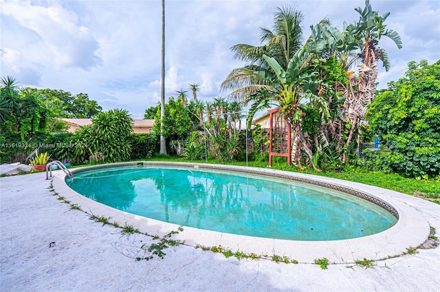 3991 NW 108th Ave, Coral Springs, FL 33065 - view of swimming pool