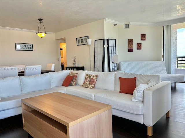 living room featuring dark wood-type flooring and crown molding