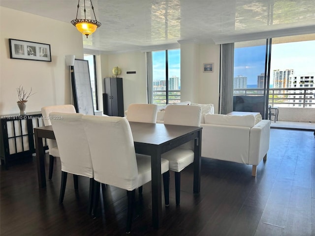 dining room featuring expansive windows and dark hardwood / wood-style flooring