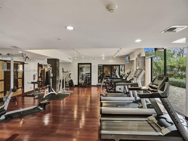 exercise room with wood-type flooring, floor to ceiling windows, and rail lighting