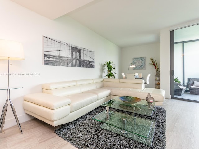 living room featuring wood-type flooring and a wall of windows