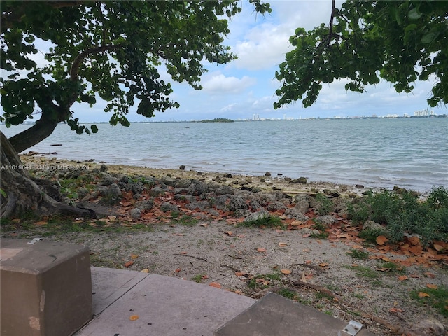 view of water feature