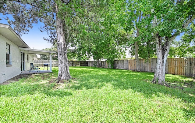 view of yard with a patio