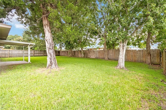 2442 Dianne Dr, Cocoa, FL 32922 - photo 30